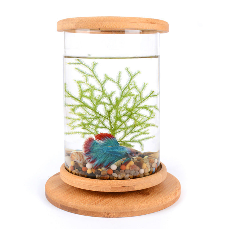 Small Office Glass Aquarium Bamboo Base Mini Fish Tank Decoration Fish Bowl - LIT-TERAL